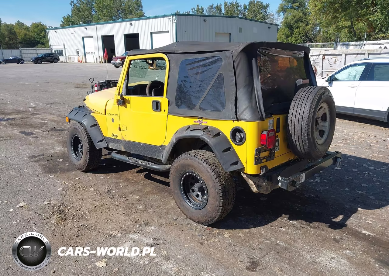 2001 Jeep Wrangler Se VIN:1J4FA29P91P314395 - 3