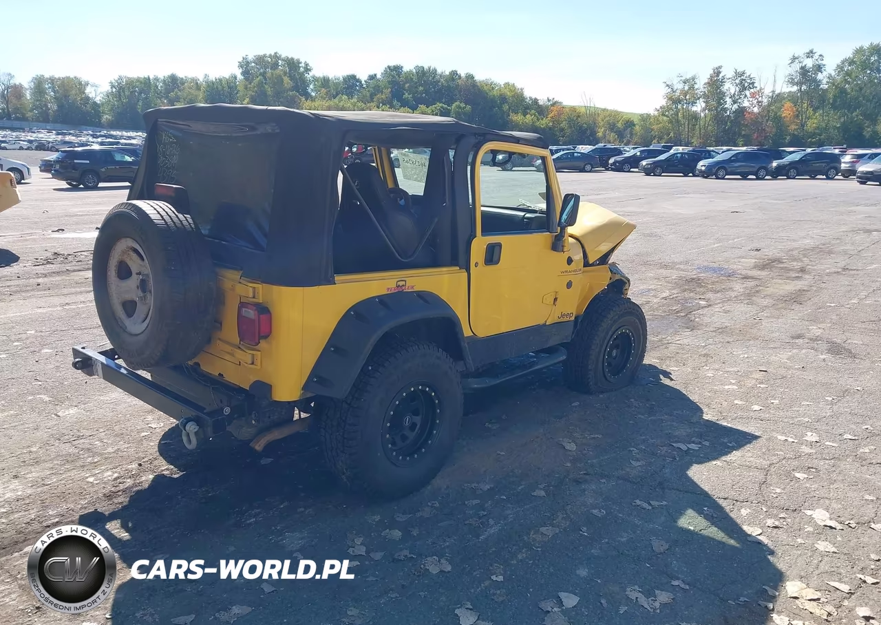 2001 Jeep Wrangler Se VIN:1J4FA29P91P314395 - 4