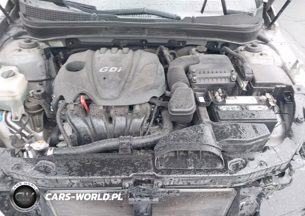 2011 Hyundai Sonata Se VIN:5NPEC4AC6BH114846 - 10