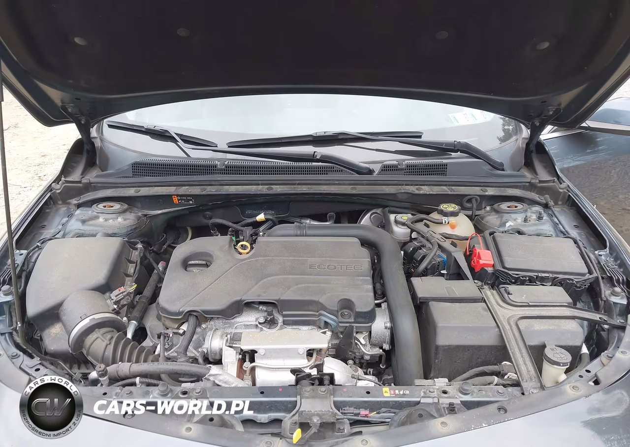 2019 Chevrolet Malibu Lt VIN:1G1ZD5STXKF226085 - 10