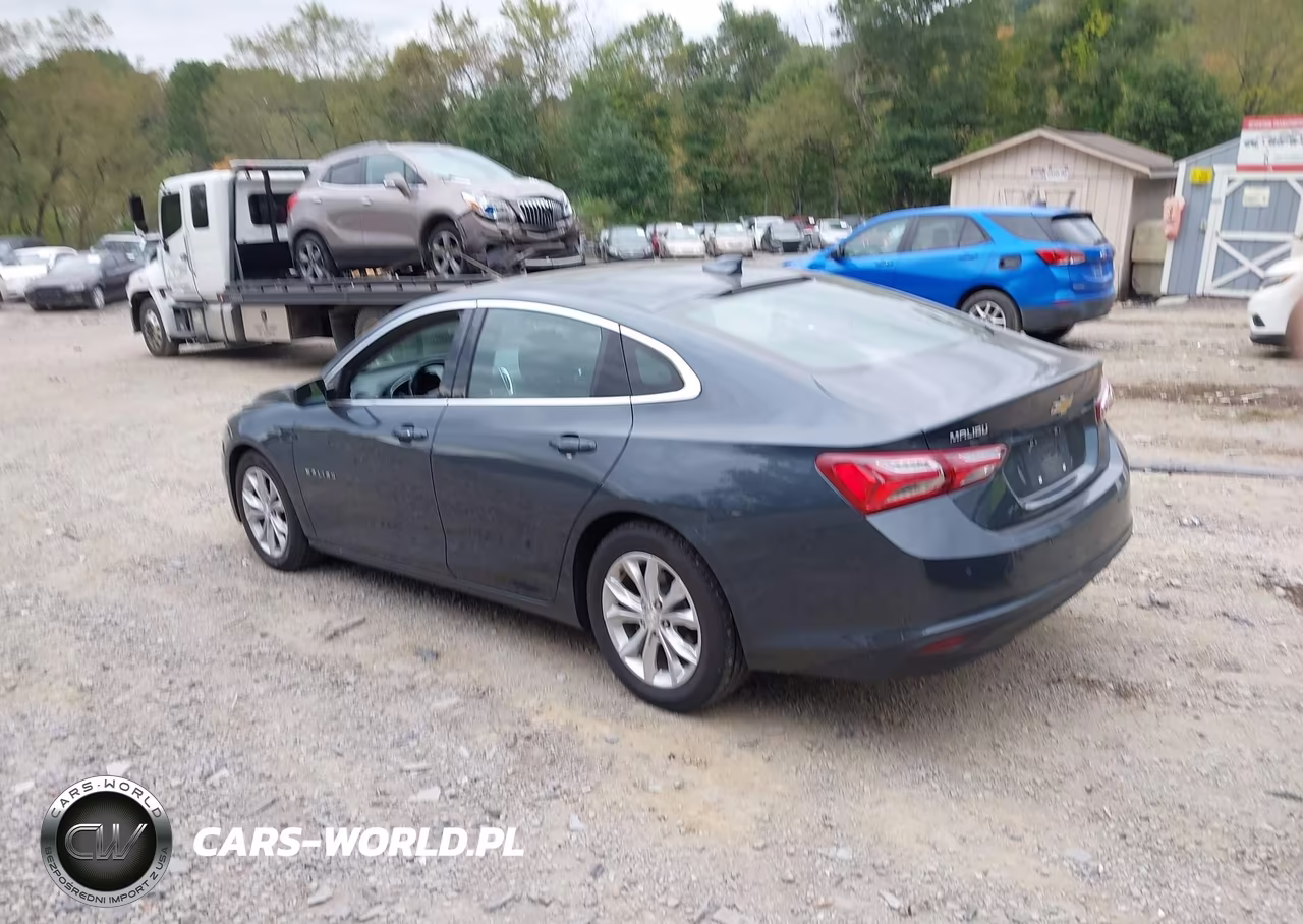 2019 Chevrolet Malibu Lt VIN:1G1ZD5STXKF226085 - 3