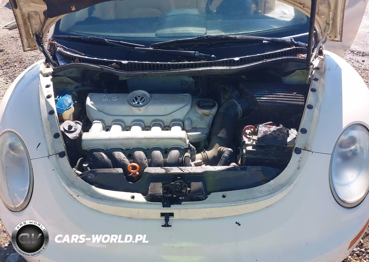2009 Volkswagen New Beetle Coupe S VIN:3VWRW31C29M507313 - 10