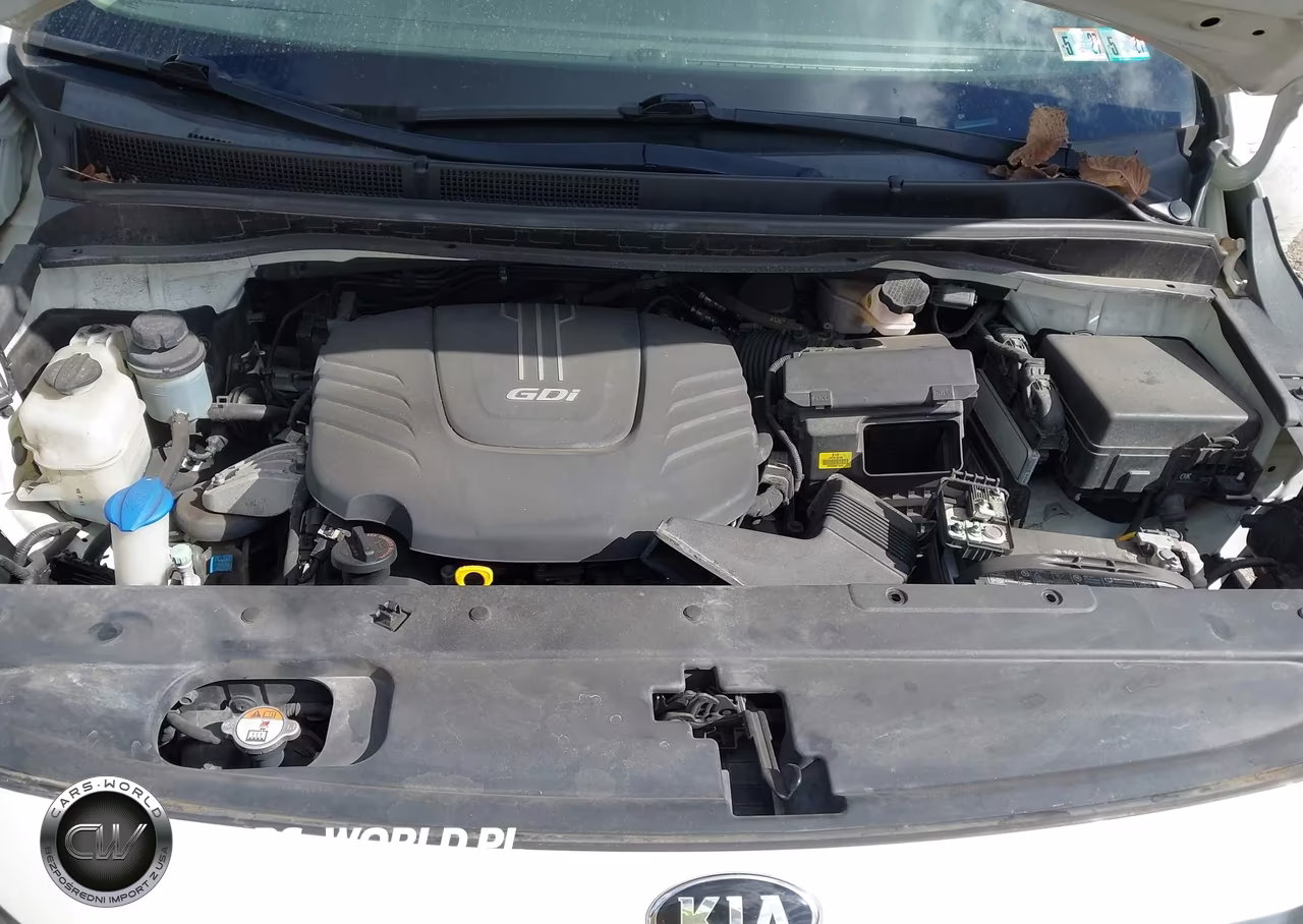 2017 Kia Sedona L VIN:KNDMA5C1XH6279711 - 10