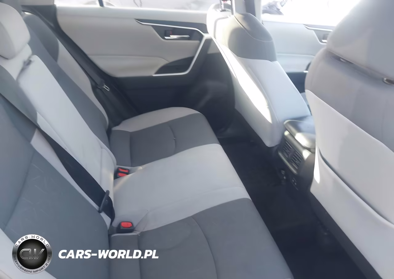 2019 Toyota Rav4 Xle VIN:2T3W1RFV1KW028919 - 7