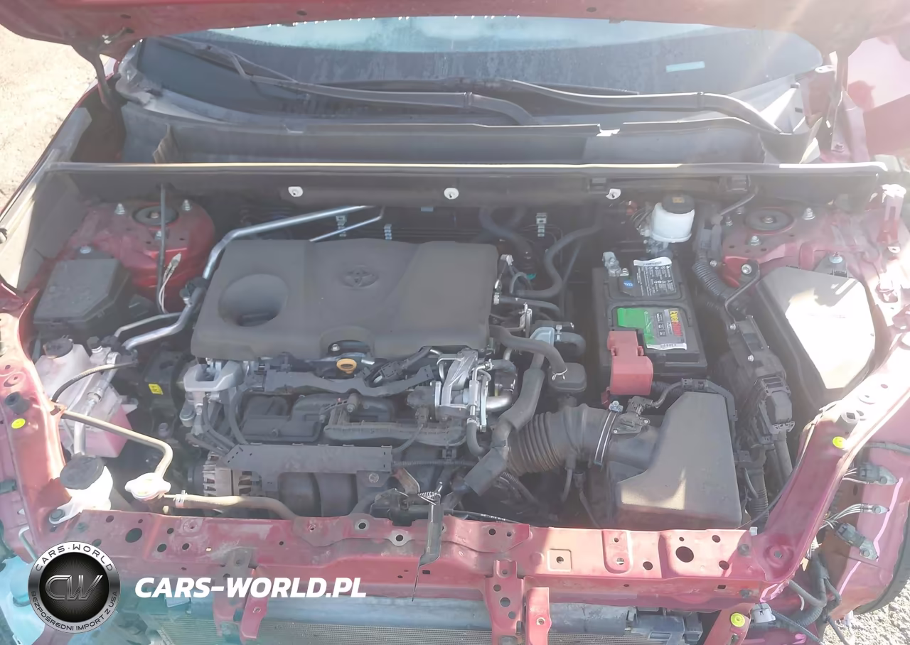 2019 Toyota Rav4 Xle VIN:2T3W1RFV1KW028919 - 9