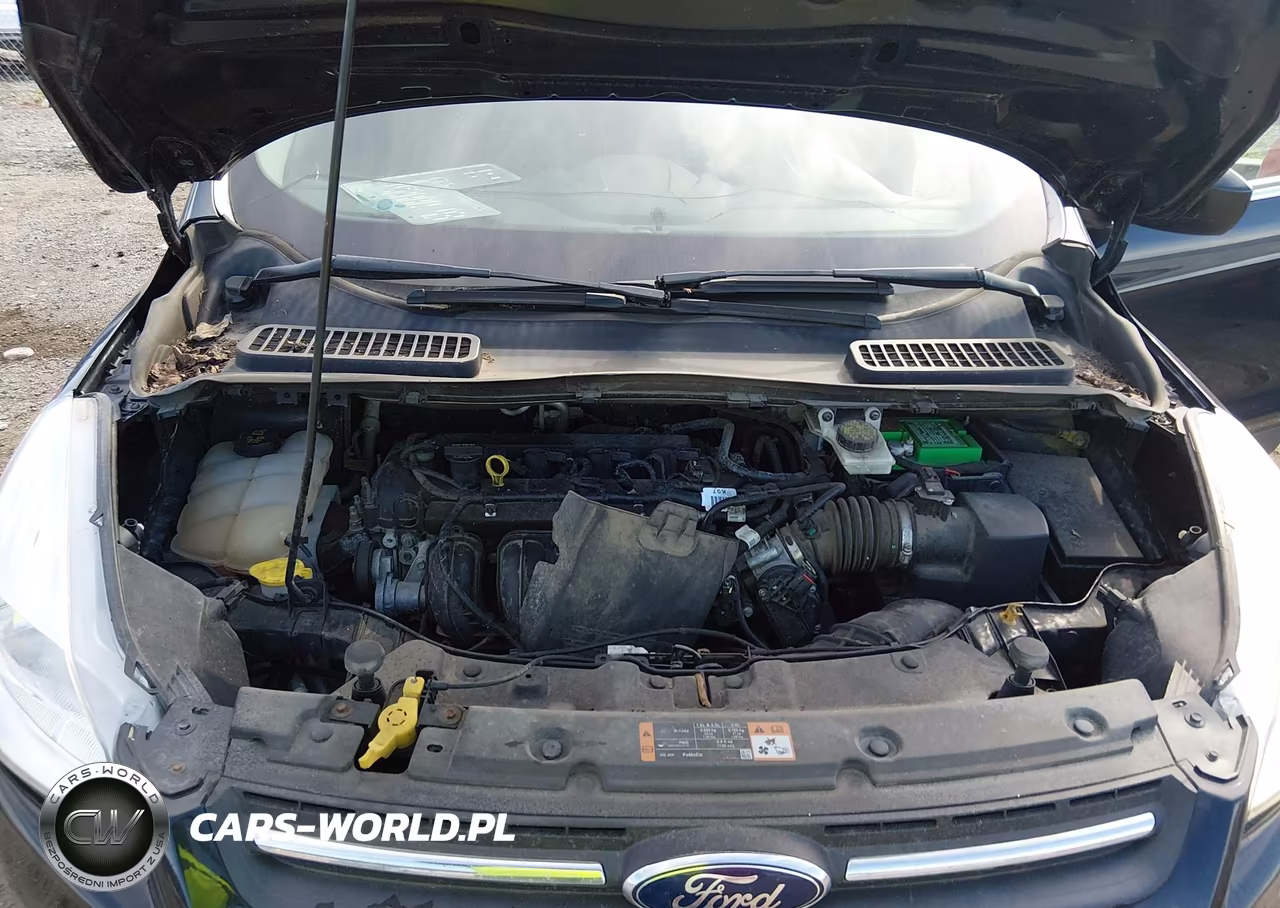 2015 Ford Escape Se VIN:1FMCU0G76FUB69702 - 10