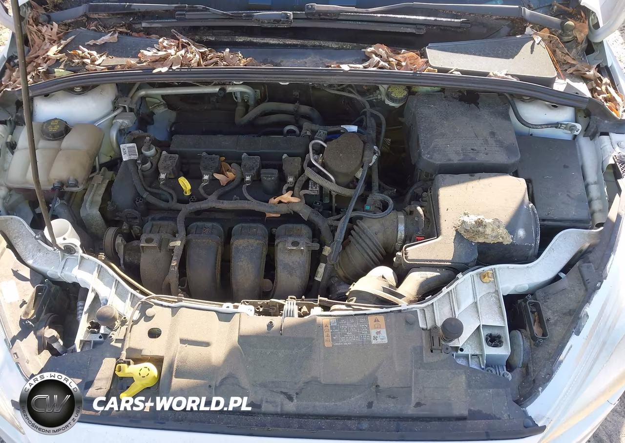 2015 Ford Focus Se VIN:1FADP3F28FL277743 - 10