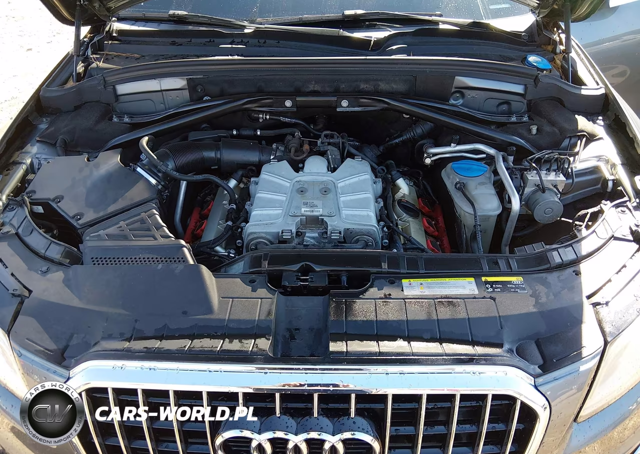 2013 Audi Q5 3.0T Premium Plus VIN:WA1DGAFP5DA051379 - 10