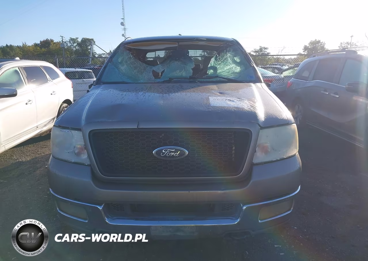 2004 Ford F-150 Fx4-Lariat-Xl-Xlt VIN:1FTPX14594NB42443 - 12