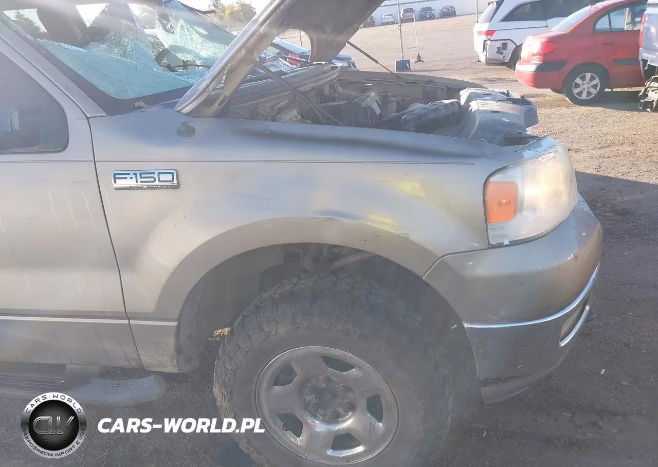 2004 Ford F-150 Fx4-Lariat-Xl-Xlt VIN:1FTPX14594NB42443 - 6