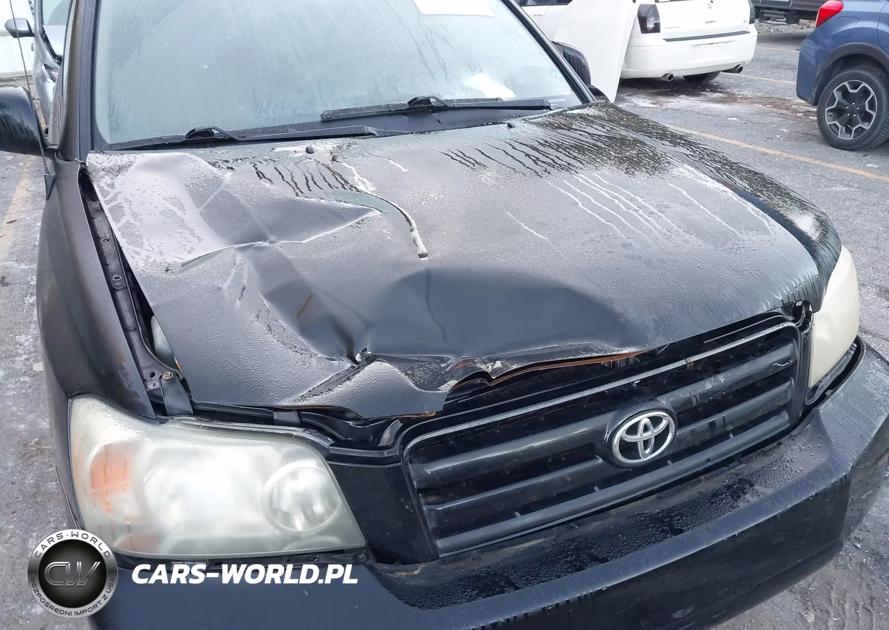 2004 Toyota Highlander VIN:JTEGD21A740090609 - 6