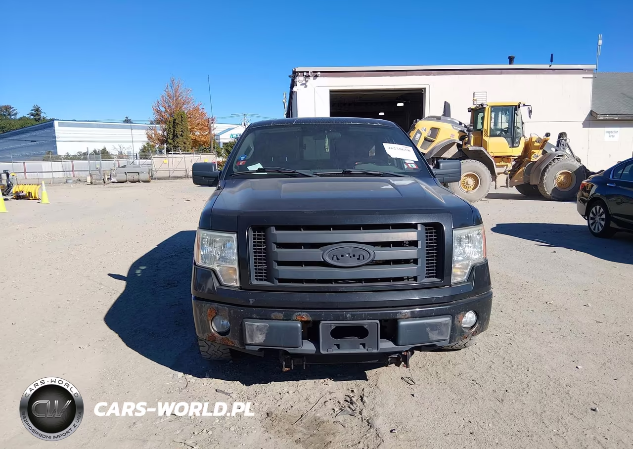 2010 Ford F-150 Stx-Xl VIN:1FTEX1EW1AFA64793 - 12