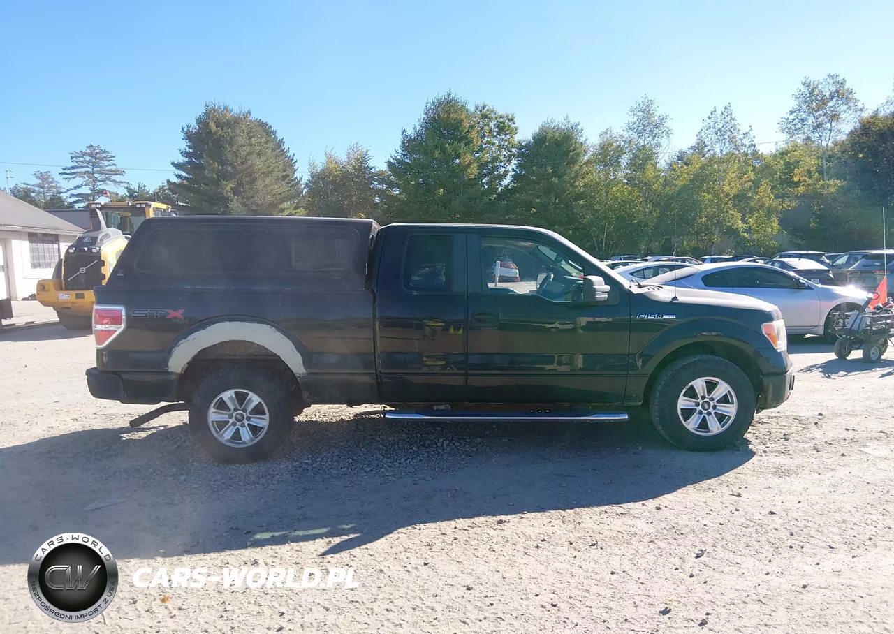 2010 Ford F-150 Stx-Xl VIN:1FTEX1EW1AFA64793 - 13