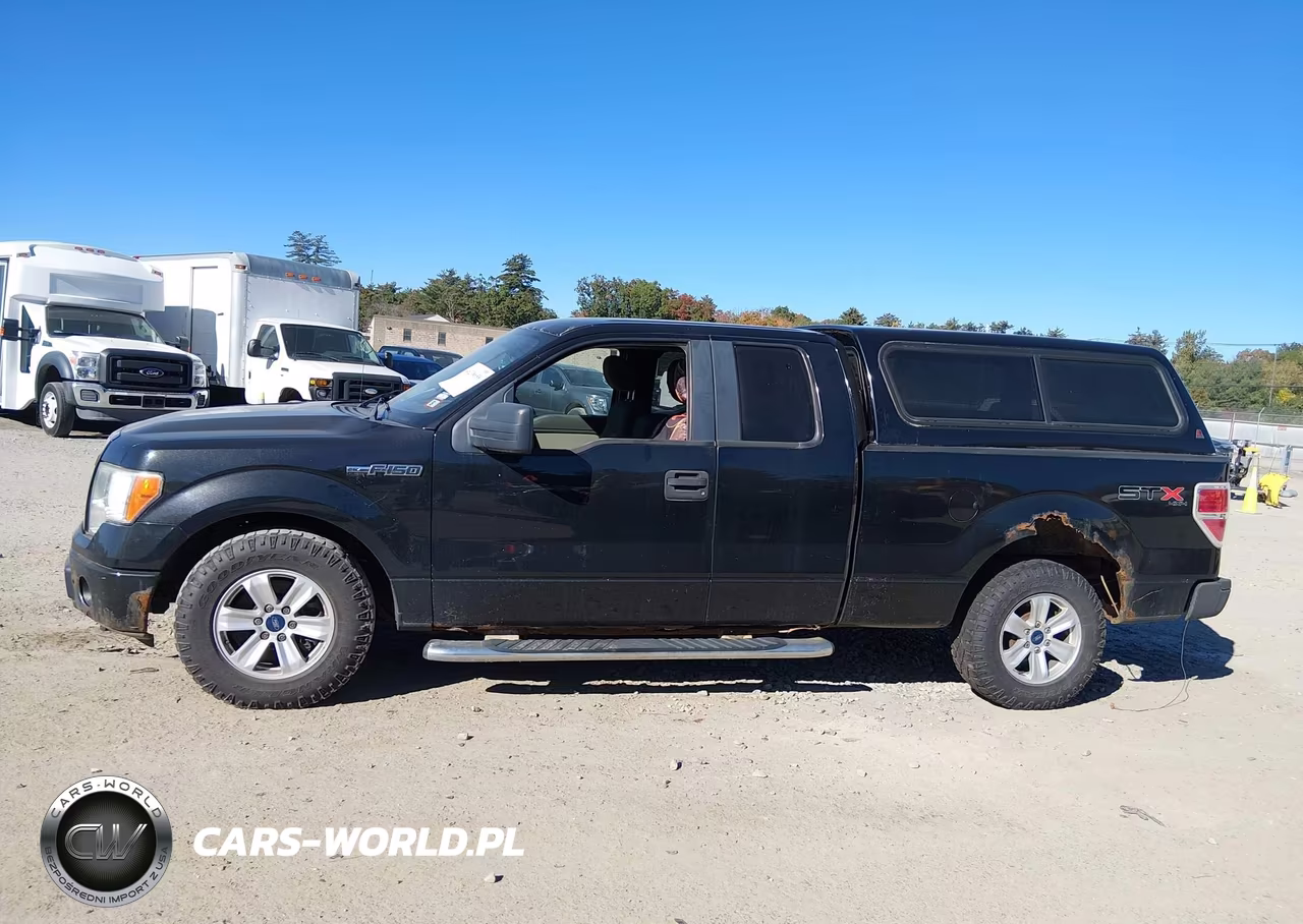 2010 Ford F-150 Stx-Xl VIN:1FTEX1EW1AFA64793 - 14