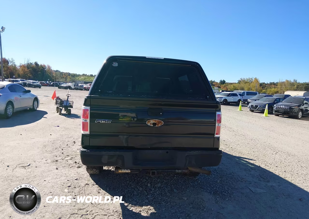 2010 Ford F-150 Stx-Xl VIN:1FTEX1EW1AFA64793 - 16