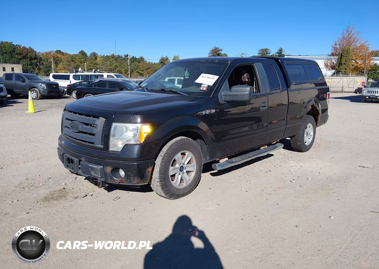 2010 Ford F-150 Stx-Xl VIN:1FTEX1EW1AFA64793 - 2
