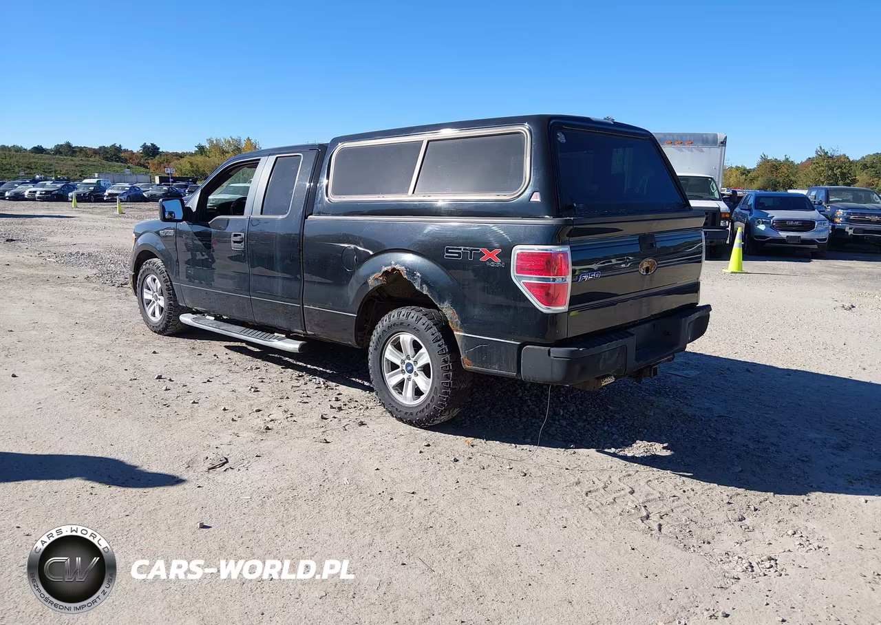 2010 Ford F-150 Stx-Xl VIN:1FTEX1EW1AFA64793 - 3