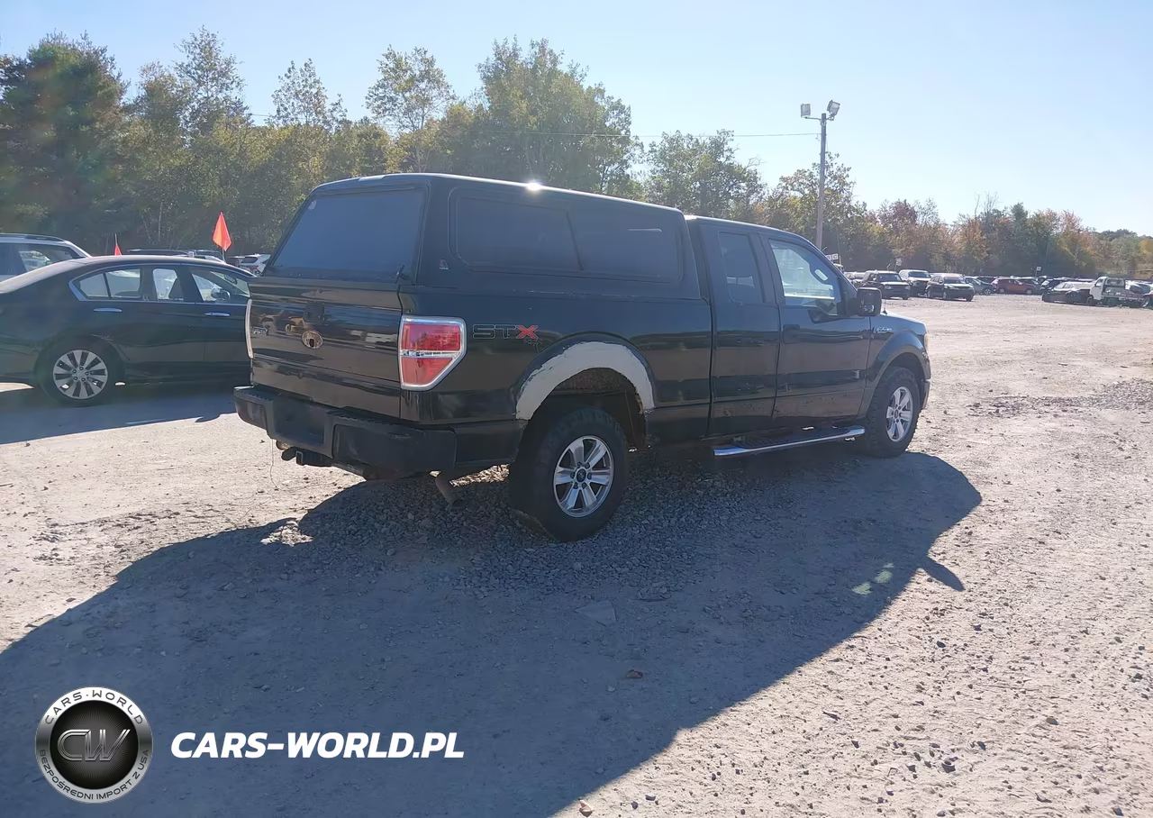 2010 Ford F-150 Stx-Xl VIN:1FTEX1EW1AFA64793 - 4