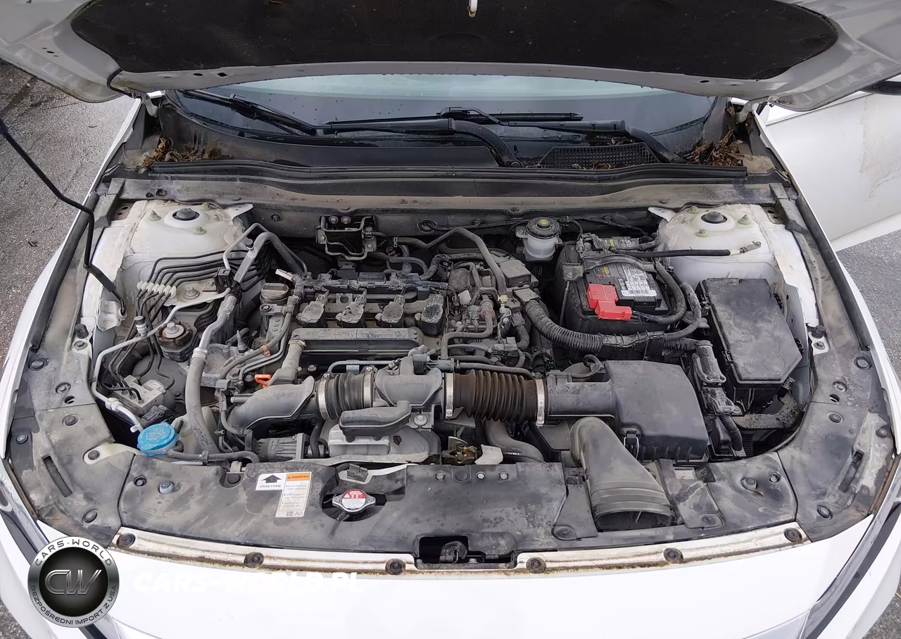 2021 Honda Accord Ex-L VIN:1HGCV1F58MA029903 - 10