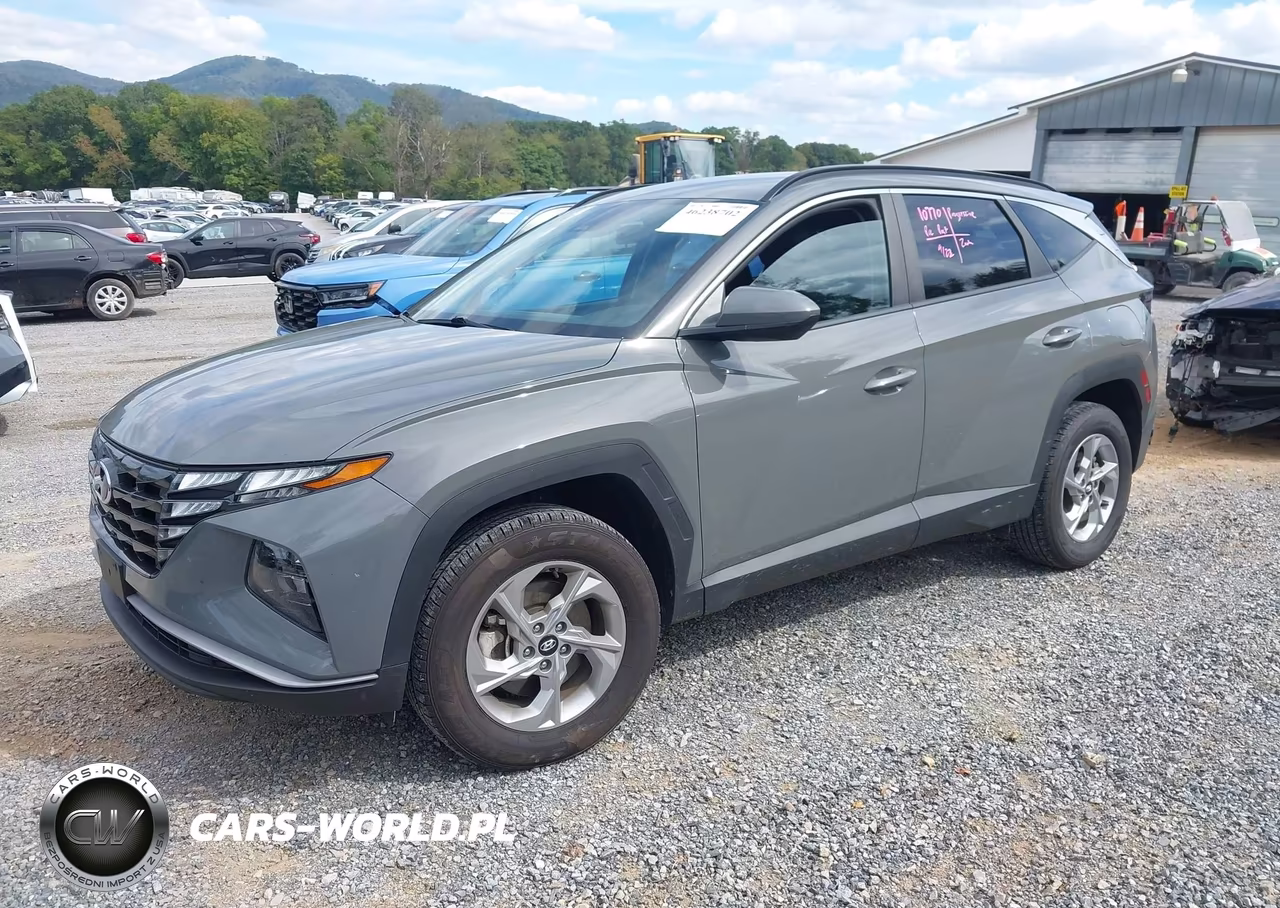 2024 Hyundai Tucson Sel VIN:5NMJBCDE0RH340056 - 2