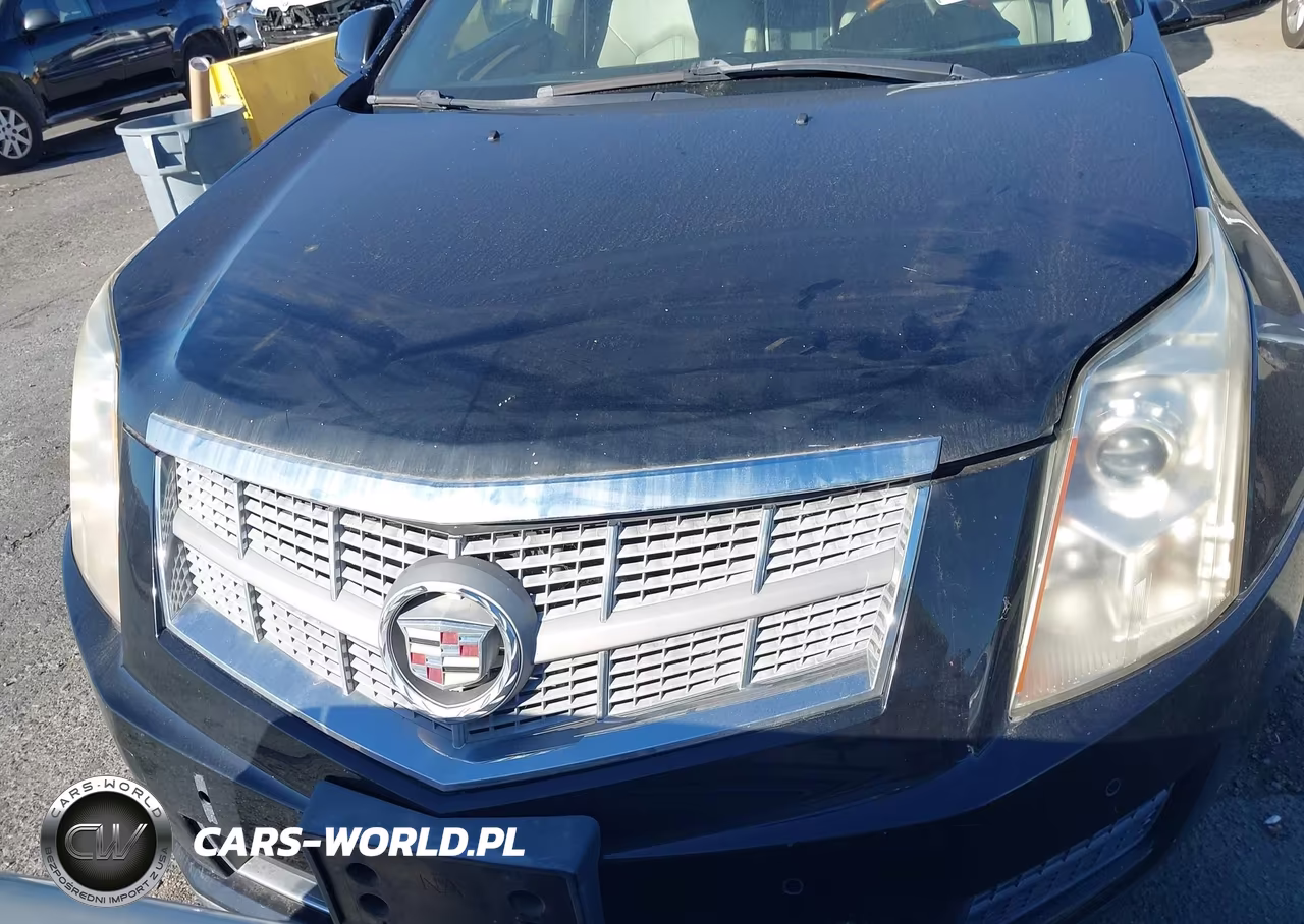 2011 Cadillac Srx Luxury Collection VIN:3GYFNAEY0BS560283 - 6