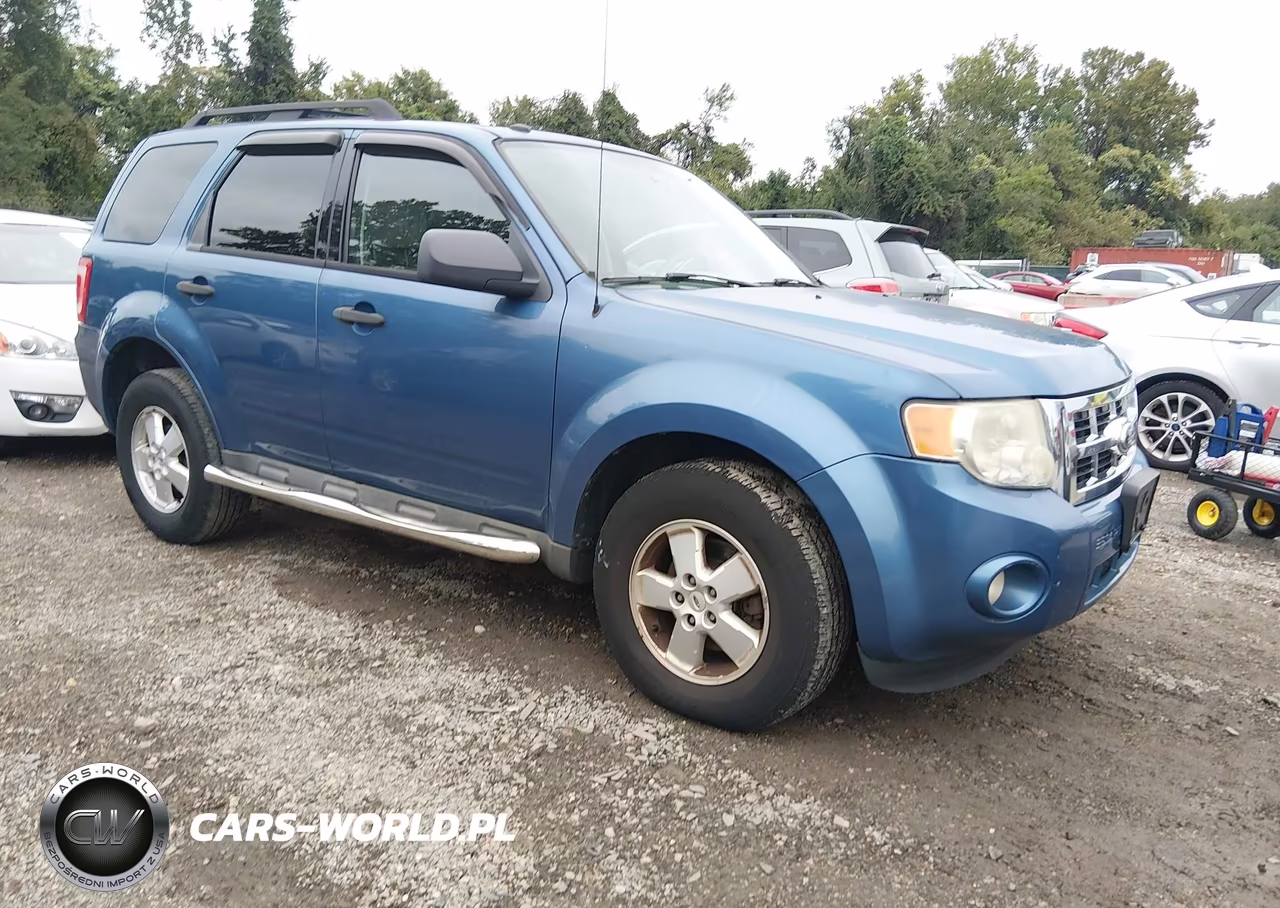 2010 Ford Escape Xlt