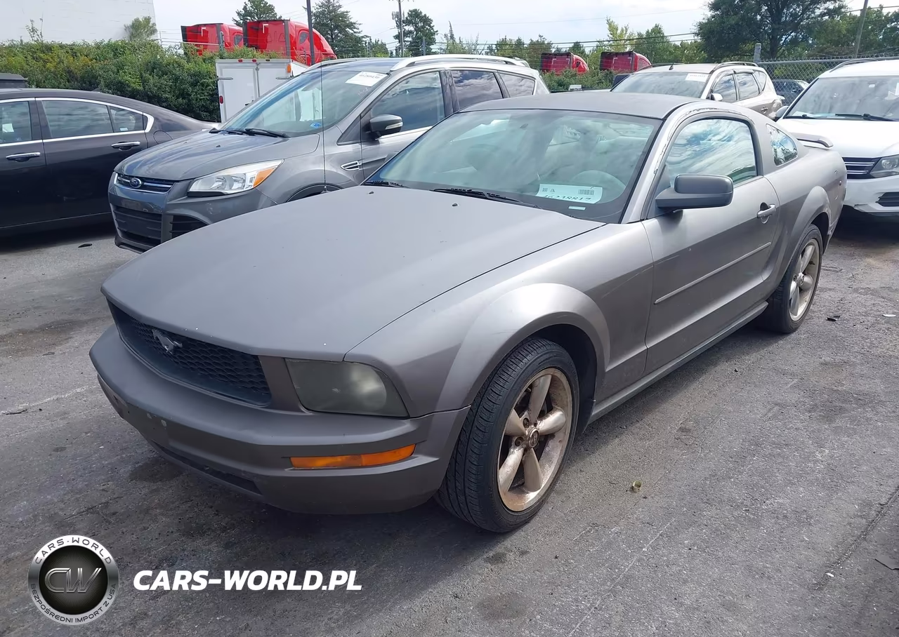2005 Ford Mustang V6 Deluxe-V6 Premium VIN:1ZVFT80N055177733 - 2