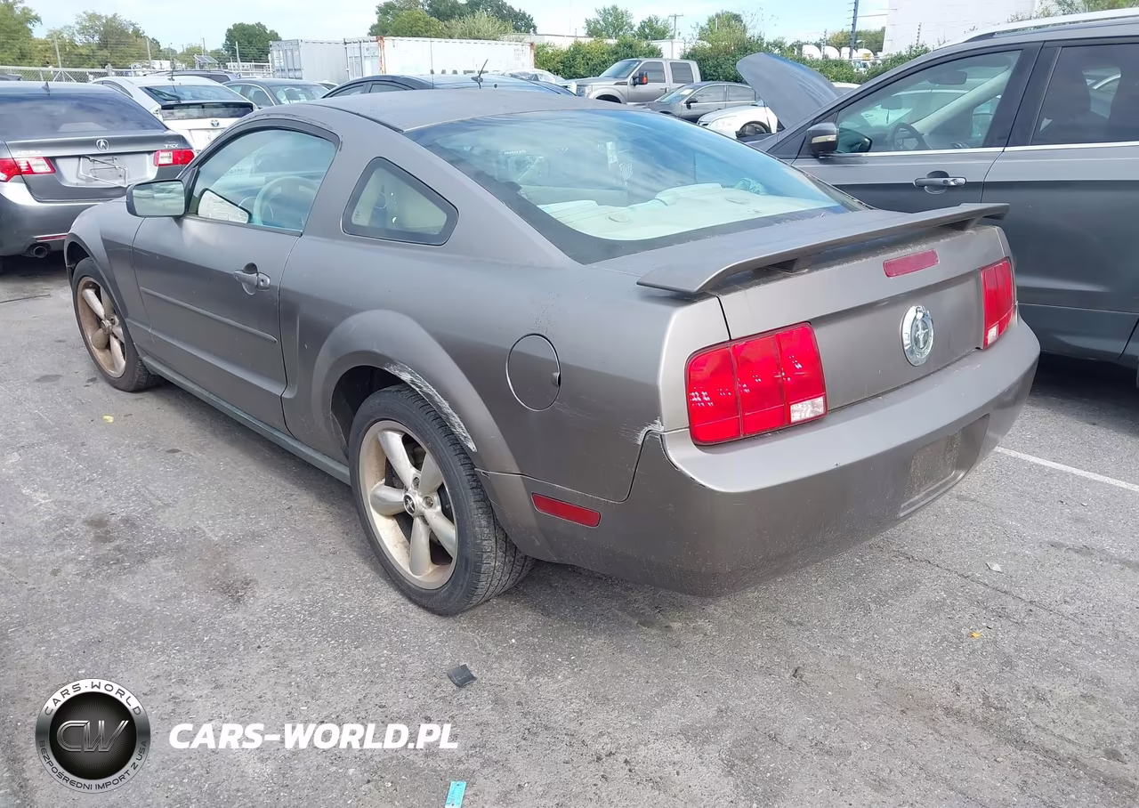 2005 Ford Mustang V6 Deluxe-V6 Premium VIN:1ZVFT80N055177733 - 3