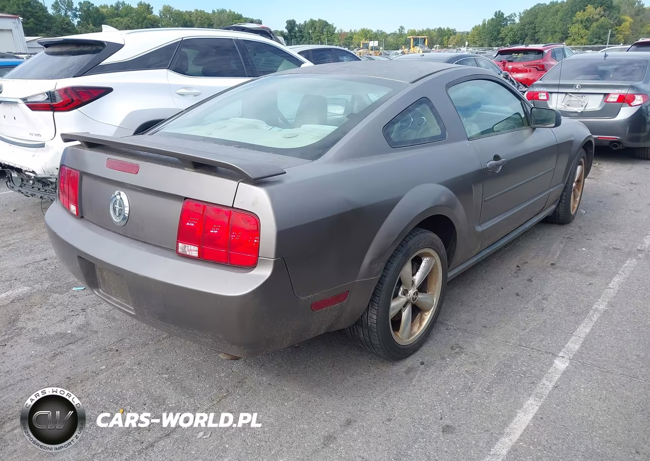 2005 Ford Mustang V6 Deluxe-V6 Premium VIN:1ZVFT80N055177733 - 4