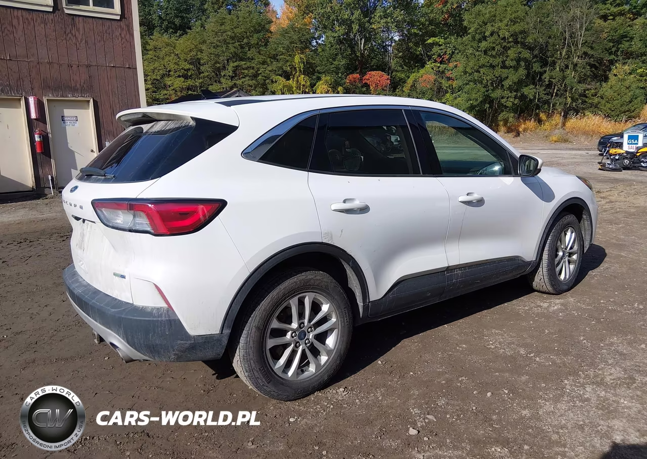 2020 Ford Escape Se VIN:1FMCU9G63LUA64879 - 4