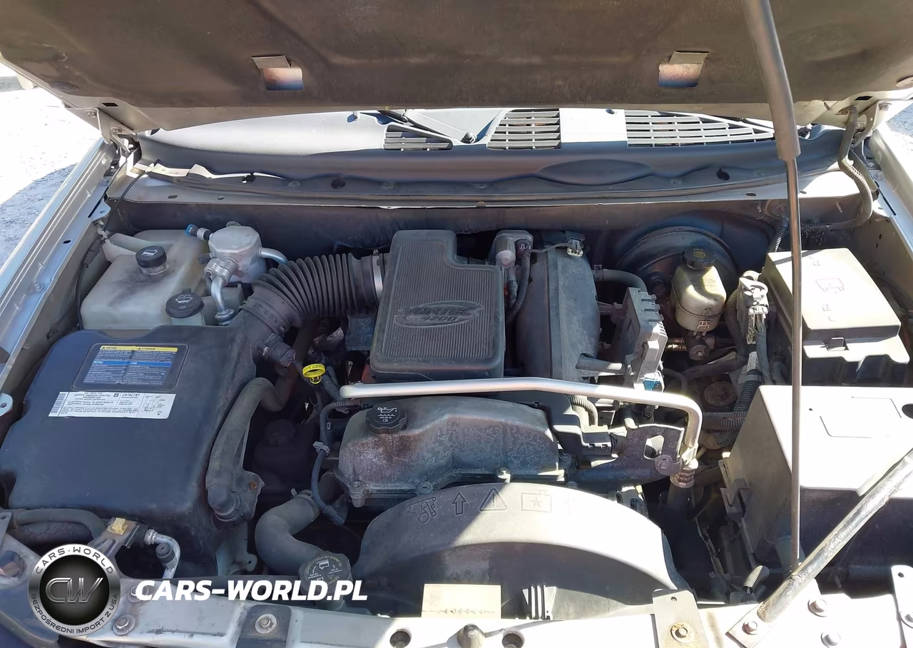 2006 Chevrolet Trailblazer Ls VIN:1GNDT13S362176766 - 10