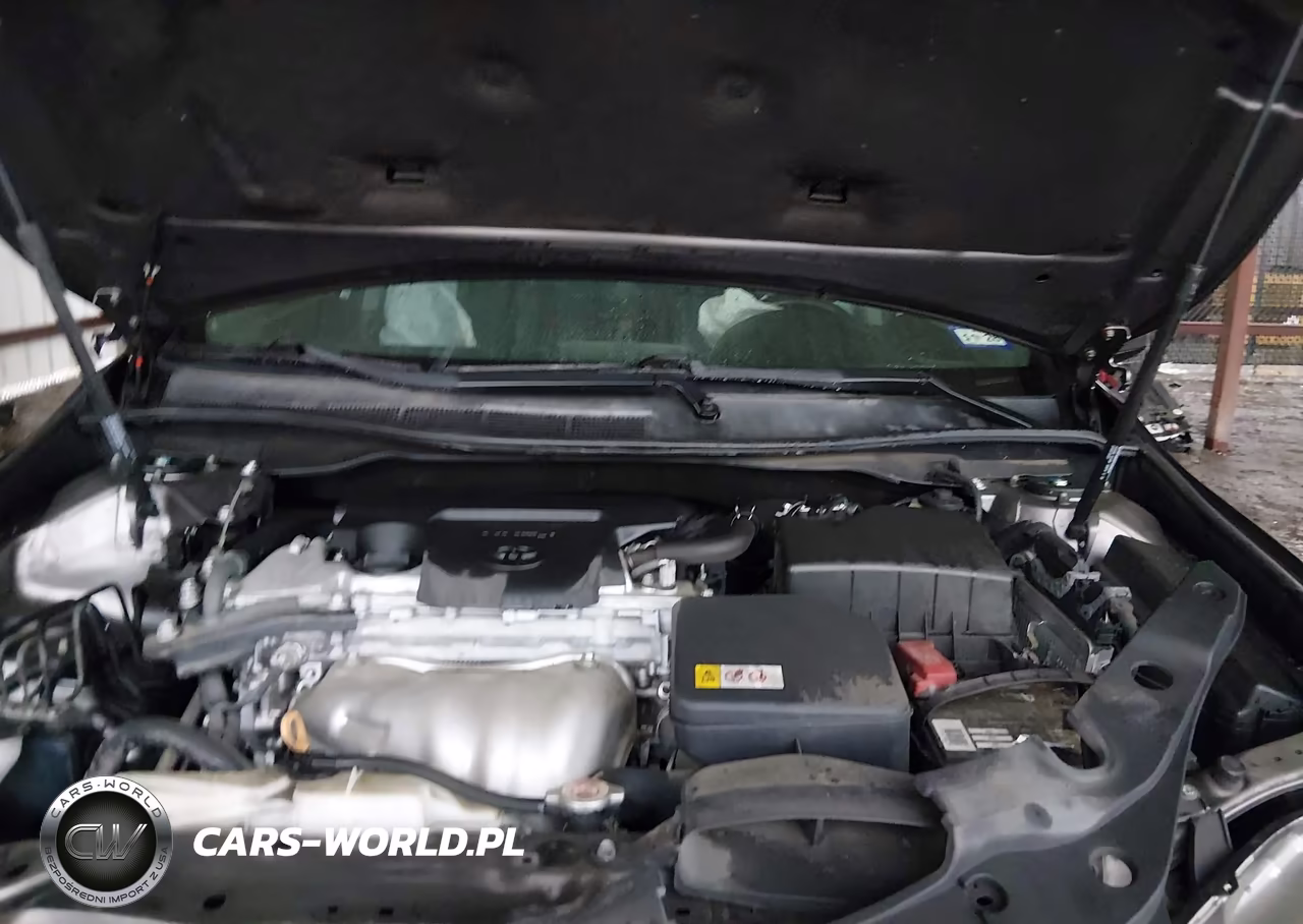 2017 Toyota Camry Se VIN:4T1BF1FK4HU662900 - 10