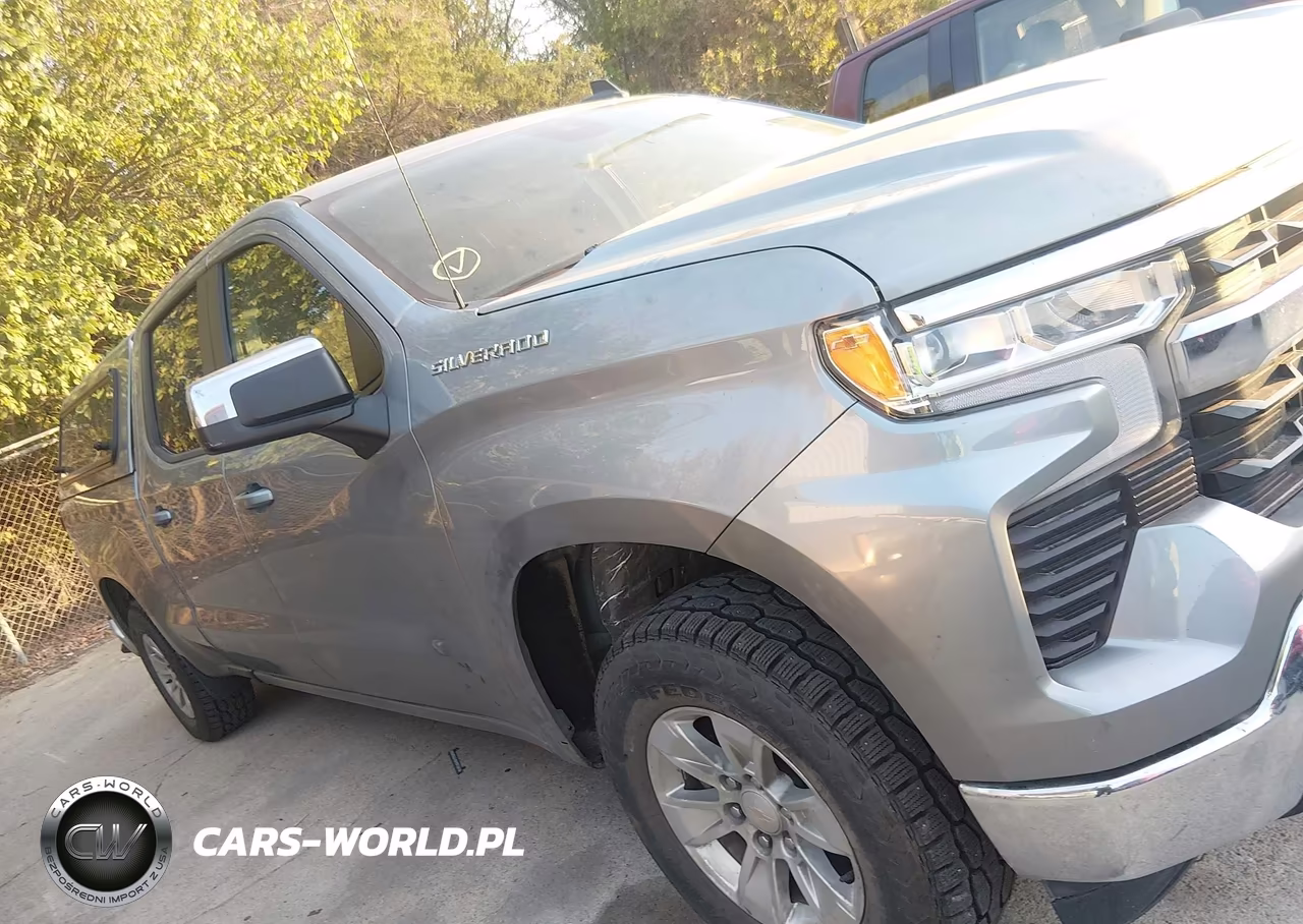2023 Chevrolet Silverado K1500 Lt VIN:3GCUDDED1PG311015 - 13