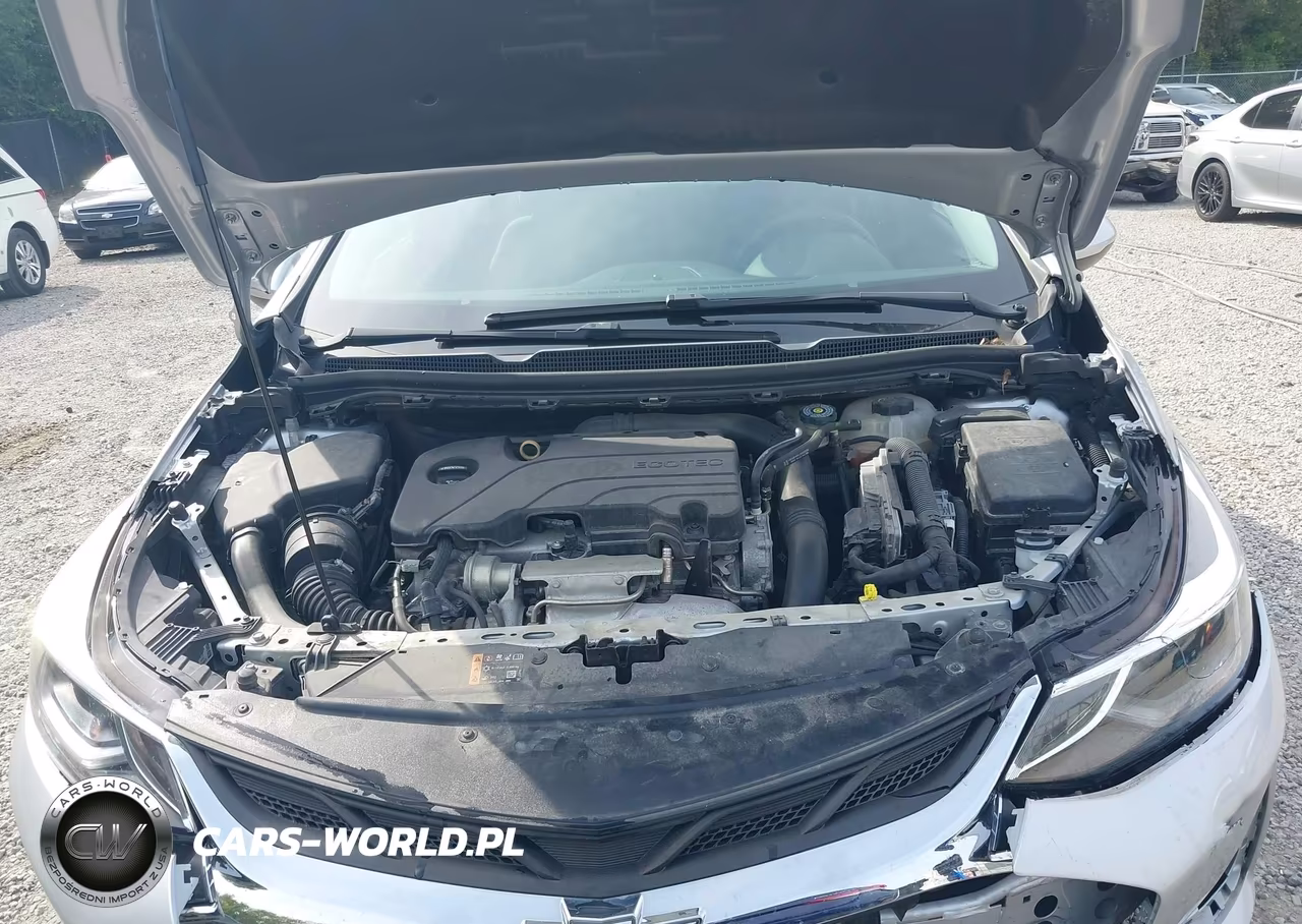 2019 Chevrolet Cruze Lt VIN:1G1BE5SM6K7118340 - 10