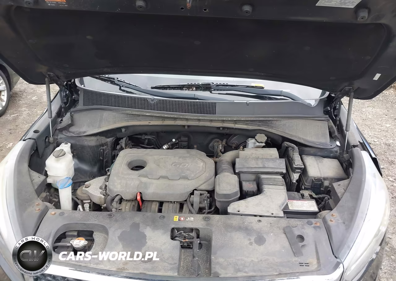 2016 Kia Sorento 2.4L Lx VIN:5XYPGDA37GG075616 - 10