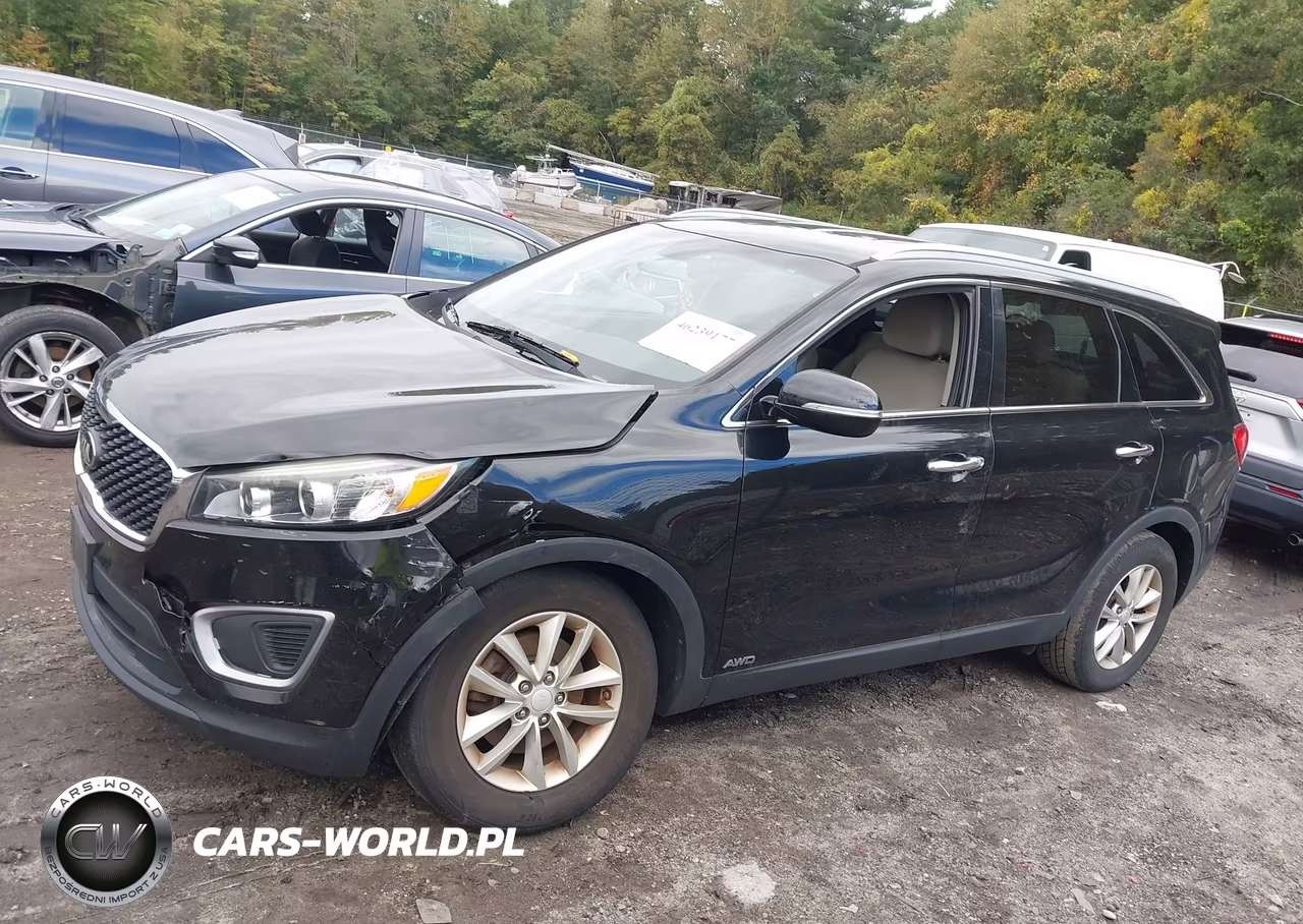 2016 Kia Sorento 2.4L Lx VIN:5XYPGDA37GG075616 - 14