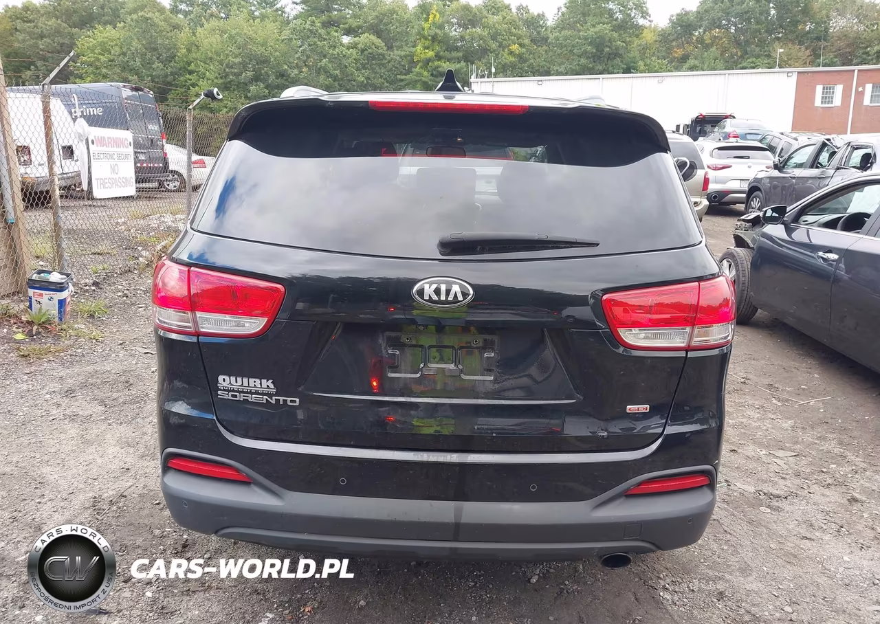 2016 Kia Sorento 2.4L Lx VIN:5XYPGDA37GG075616 - 16