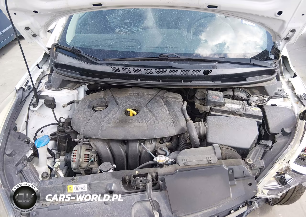 2015 Hyundai Elantra Se VIN:5NPDH4AEXFH555447 - 10