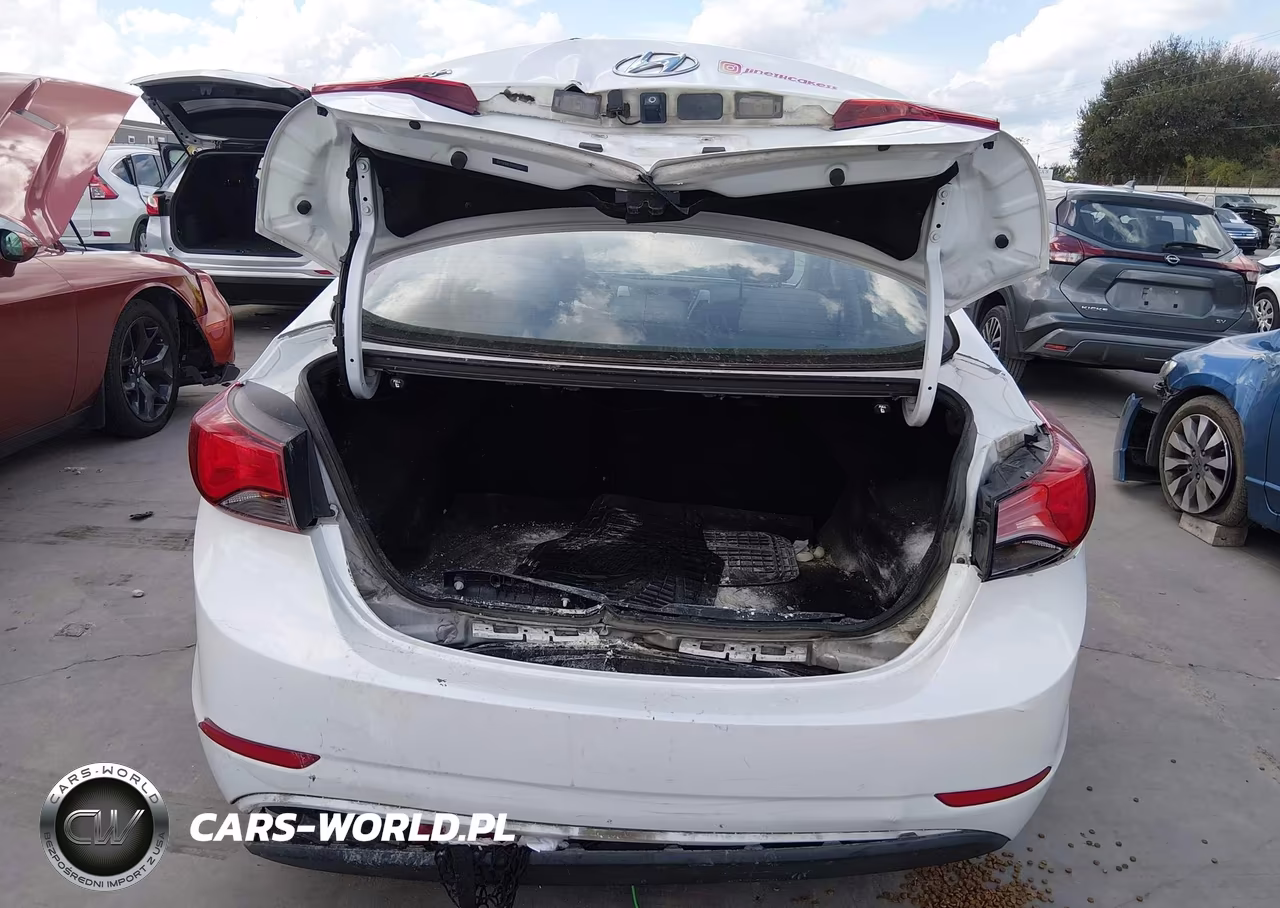 2015 Hyundai Elantra Se VIN:5NPDH4AEXFH555447 - 16