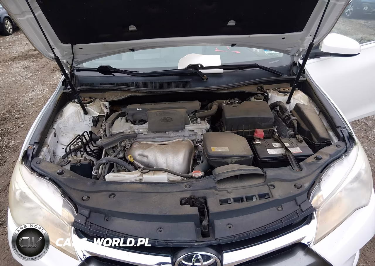 2016 Toyota Camry Le VIN:4T1BF1FK3GU176318 - 10