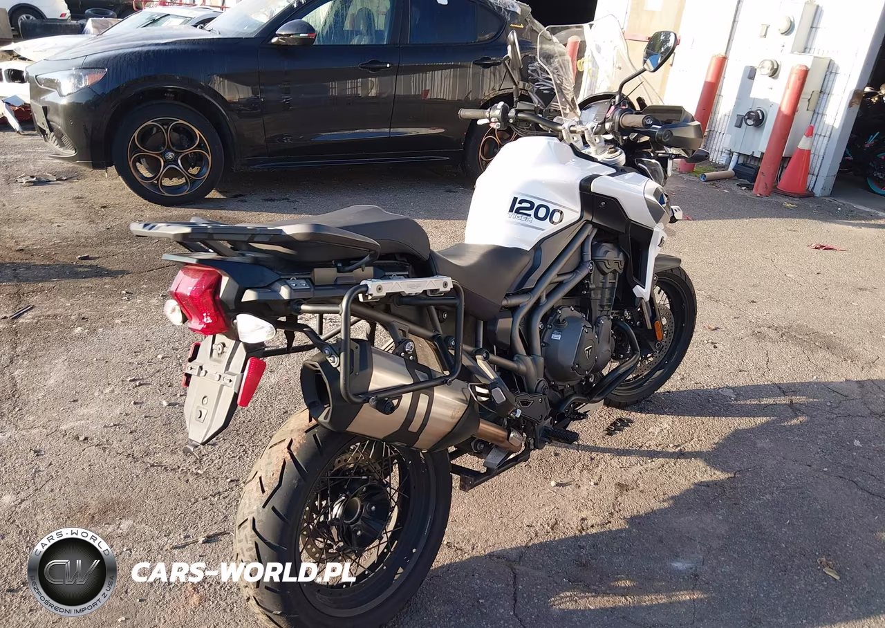 2018 Triumph Motorcycle Explorer Xcx VIN:SMTF43XB2JJ885631 - 12
