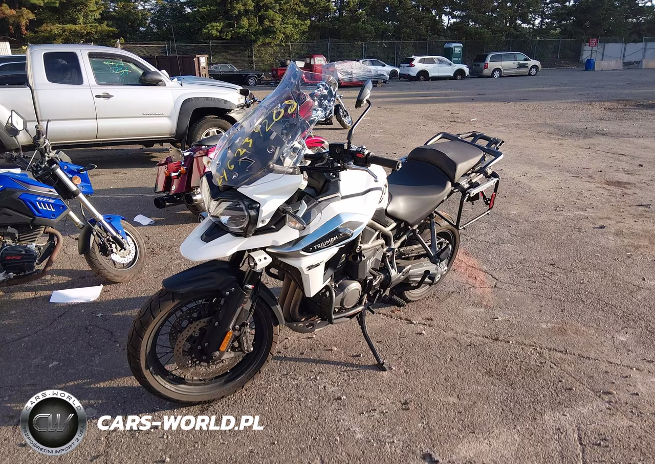2018 Triumph Motorcycle Explorer Xcx VIN:SMTF43XB2JJ885631 - 2