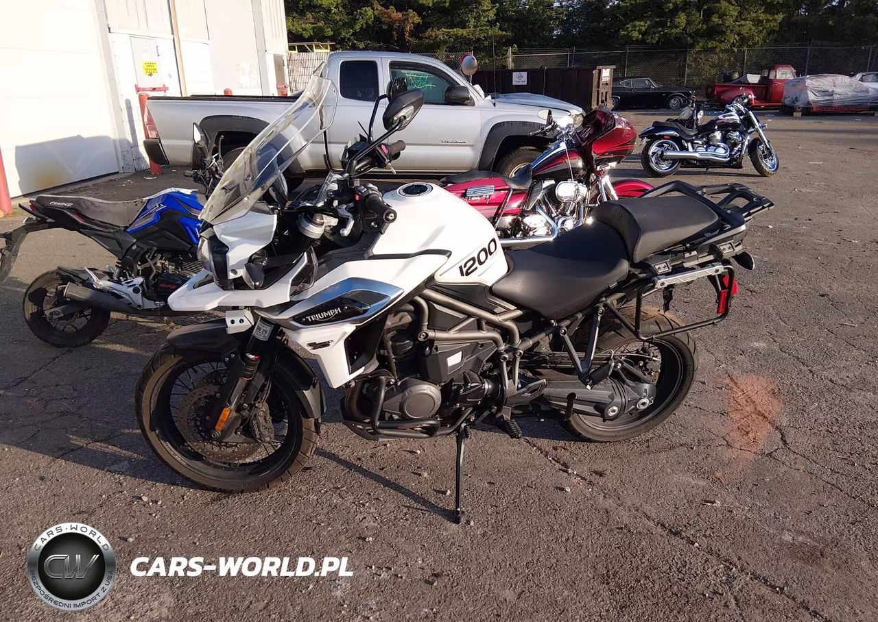 2018 Triumph Motorcycle Explorer Xcx VIN:SMTF43XB2JJ885631 - 9