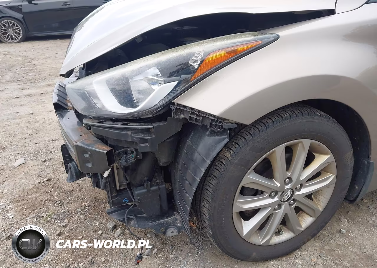 2015 Hyundai Elantra Se VIN:5NPDH4AE4FH561342 - 17