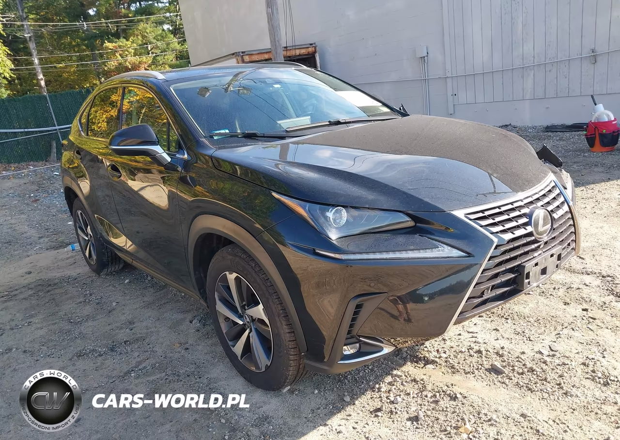 2020 Lexus Nx 300