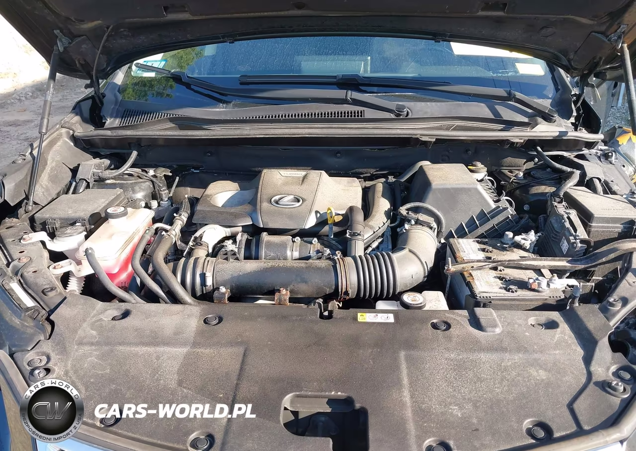 2020 Lexus Nx 300 VIN:JTJGARDZ3L2218254 - 10
