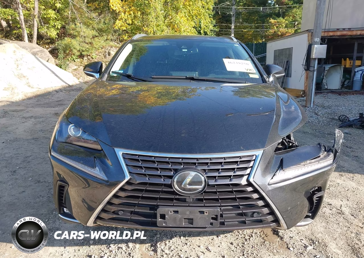 2020 Lexus Nx 300 VIN:JTJGARDZ3L2218254 - 13