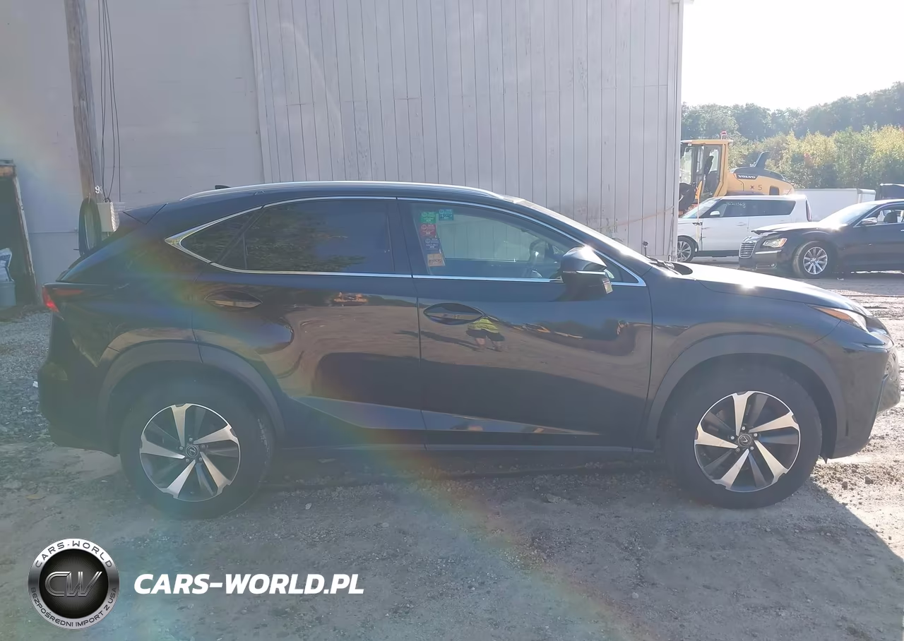 2020 Lexus Nx 300 VIN:JTJGARDZ3L2218254 - 14