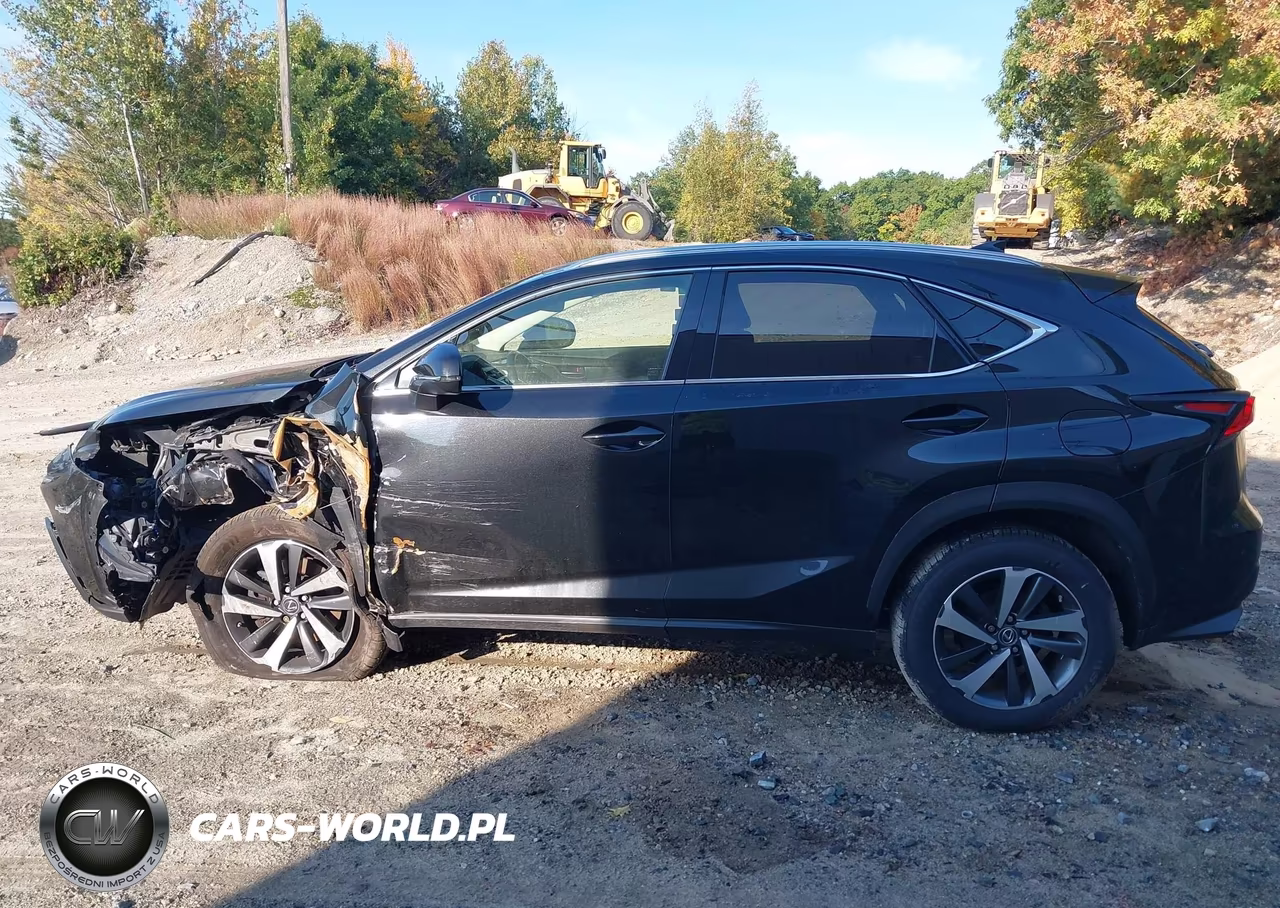 2020 Lexus Nx 300 VIN:JTJGARDZ3L2218254 - 15