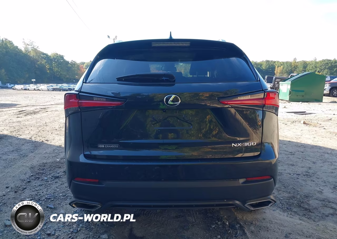 2020 Lexus Nx 300 VIN:JTJGARDZ3L2218254 - 17